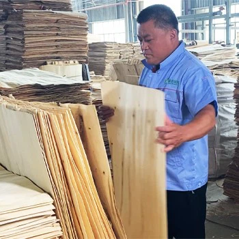Selecting&Grading Selecting&Grading