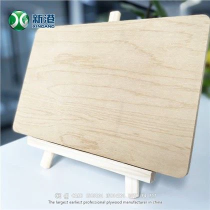 সেরা ফুল বার্চ প্লাইউড XINGANG ব্র্যান্ড