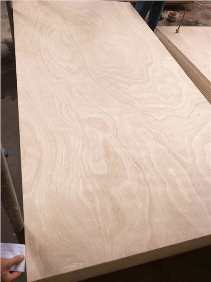 হট সেল 18 মিমি বিনতাঙ্গর ফেস/ব্যাক কমার্শিয়াল প্লাইউড শীট সেরা