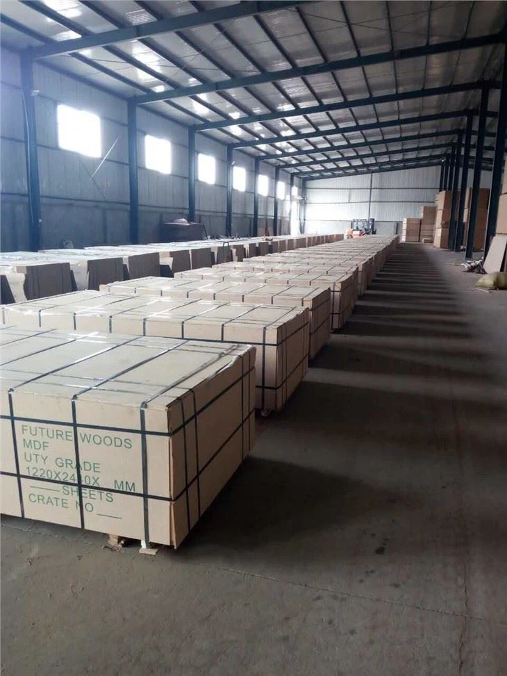 Two Time Hot Press 12mm 15mm 18mm Film Faced Shuttering Formwork Plywood For Construction Use