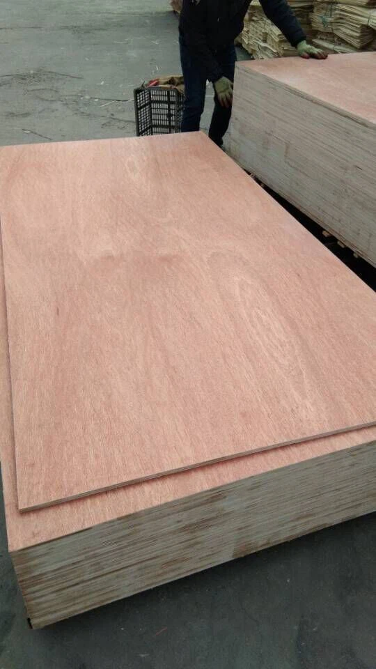 XINGANG ব্র্যান্ড বাণিজ্যিক প্লাইউড পপলার কোর