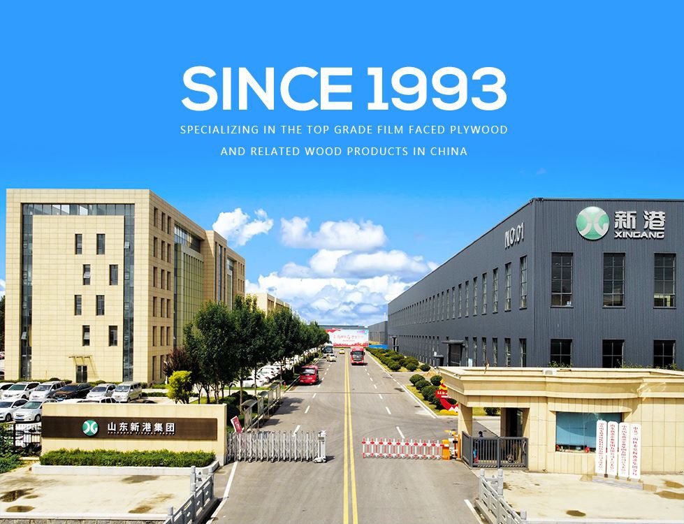 শানডং জিঙ্গাং গ্রুপ