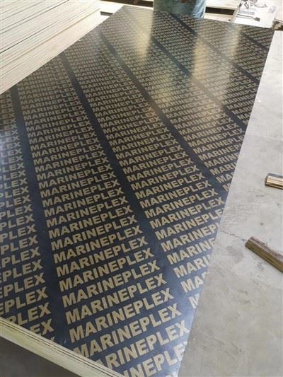 জিঙ্গাং মেরিন প্লাইউড